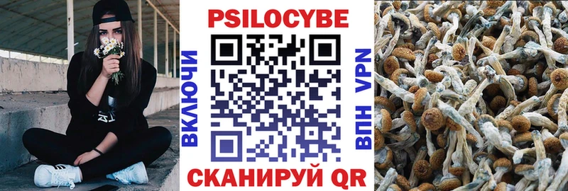 KRAKEN ССЫЛКА  цена   Томилино  Псилоцибиновые грибы Cubensis 